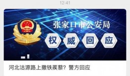 河北爆料最新消息视频,视频揭露惊人真相！