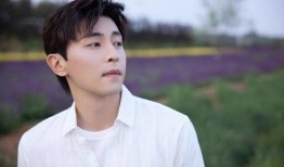 刘大锤最新爆料周翊然,周翊然神秘事件背后真相揭晓