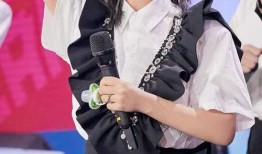 谢娜最新爆料视频,揭秘娱乐圈不为人知的幕后故事