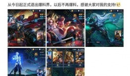 王者荣耀最新爆料 大盗,神秘大盗角色首曝，全新玩法引期待