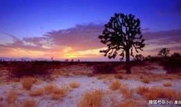 风景最新爆料图片欣赏,最新爆料图片带你领略自然奇景